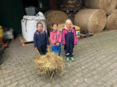Foto des Albums: Besuch bei Bauernhof Wessels