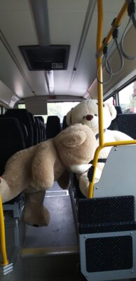 Fotoalbum Busschule