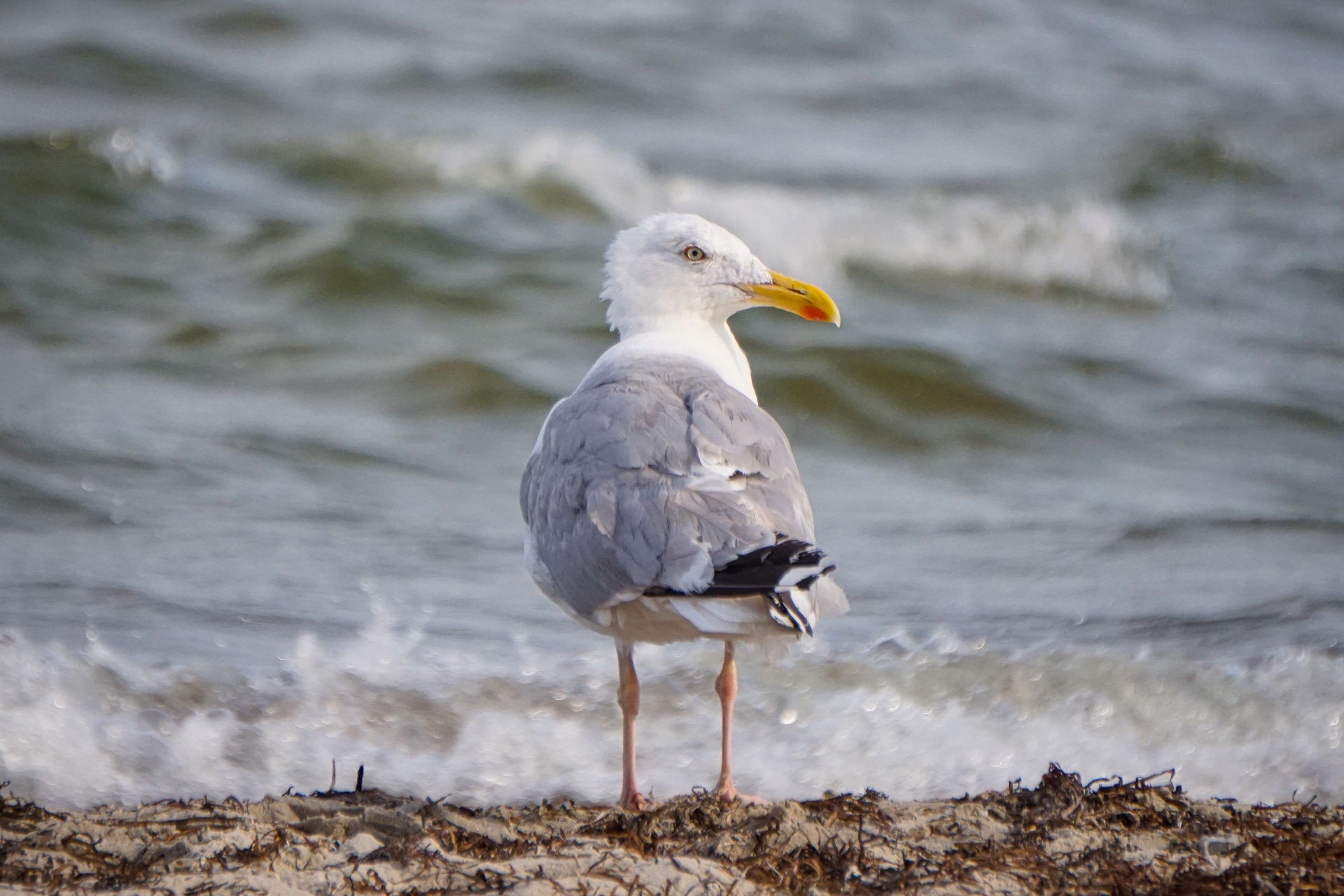 Bild: Strandbesucher