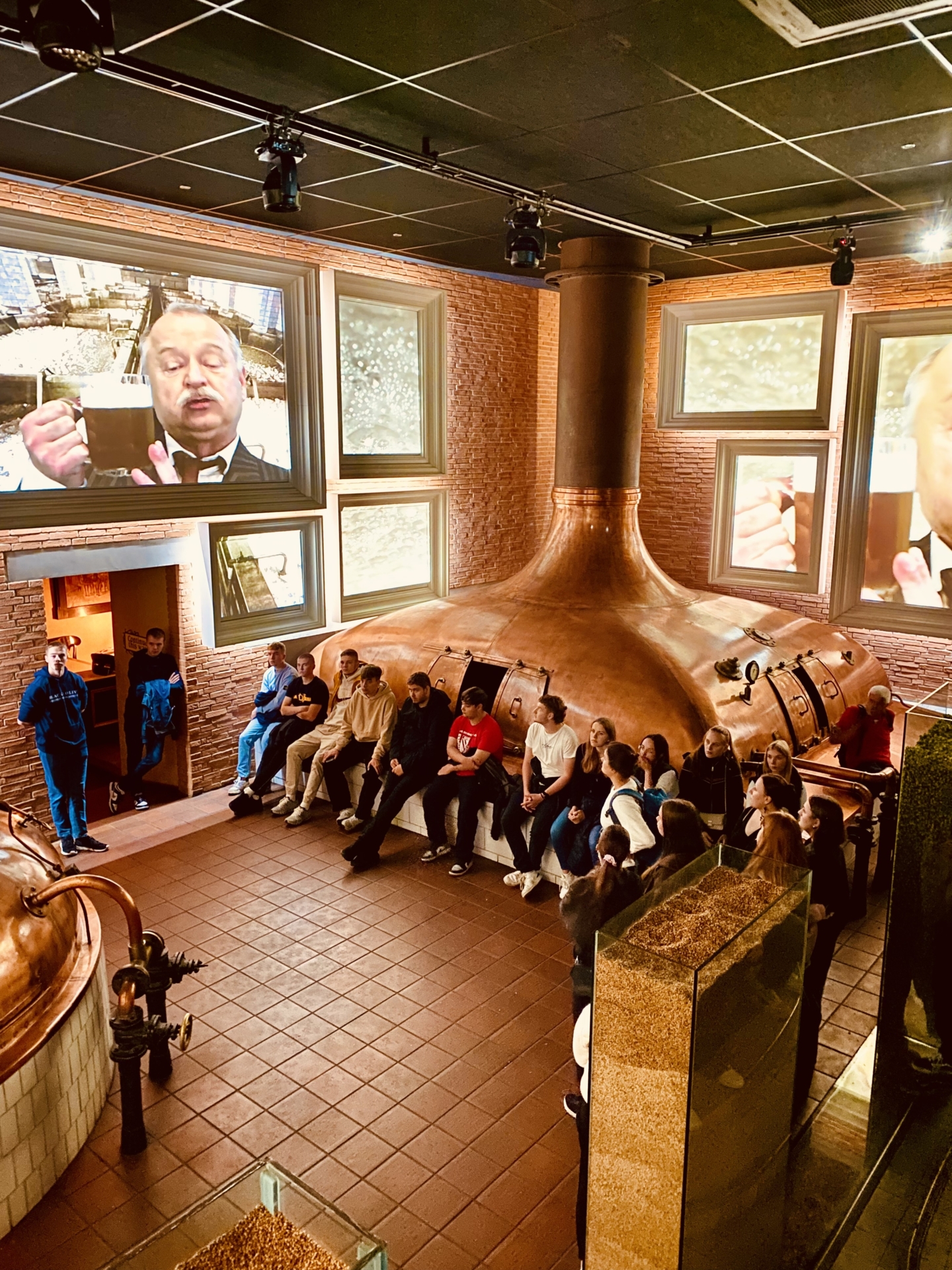 Bild der Galerie
