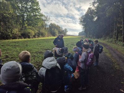 Foto des Albums: Die Kinder der Klassen 2a und 2b erkunden die Hecke als Lebensraum