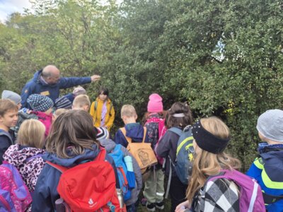 Foto des Albums: Die Kinder der Klassen 2a und 2b erkunden die Hecke als Lebensraum