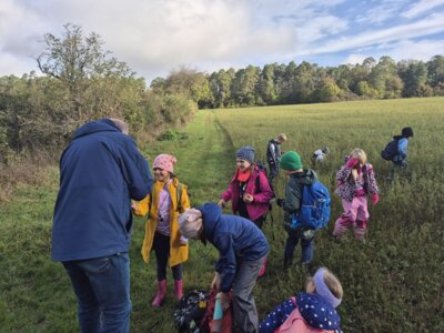 Foto des Albums: Die Kinder der Klassen 2a und 2b erkunden die Hecke als Lebensraum