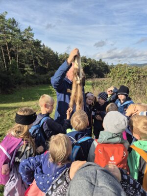 Foto des Albums: Die Kinder der Klassen 2a und 2b erkunden die Hecke als Lebensraum
