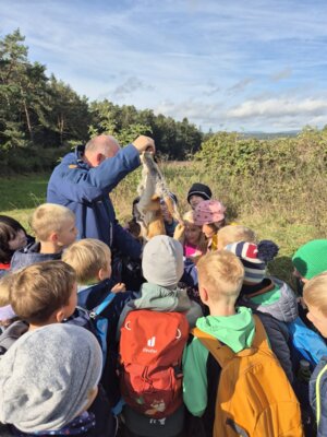 Foto des Albums: Die Kinder der Klassen 2a und 2b erkunden die Hecke als Lebensraum