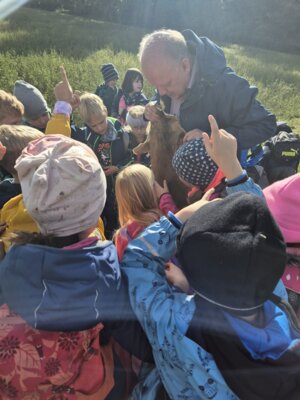 Foto des Albums: Die Kinder der Klassen 2a und 2b erkunden die Hecke als Lebensraum
