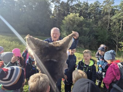 Foto des Albums: Die Kinder der Klassen 2a und 2b erkunden die Hecke als Lebensraum
