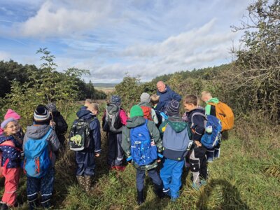 Foto des Albums: Die Kinder der Klassen 2a und 2b erkunden die Hecke als Lebensraum