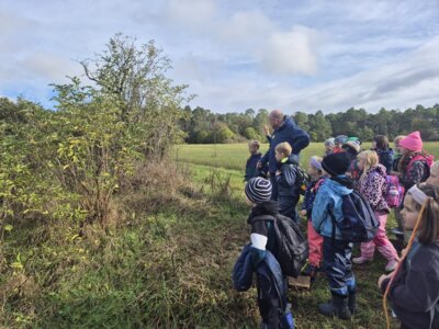 Foto des Albums: Die Kinder der Klassen 2a und 2b erkunden die Hecke als Lebensraum