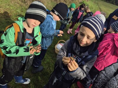 Foto des Albums: Die Kinder der Klassen 2a und 2b erkunden die Hecke als Lebensraum
