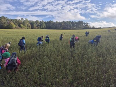 Foto des Albums: Die Kinder der Klassen 2a und 2b erkunden die Hecke als Lebensraum
