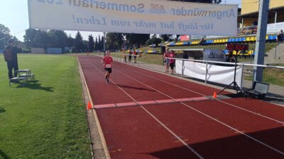 Foto des Albums: Angermünder Sommerlauf