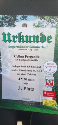 Foto des Albums: Angermünder Sommerlauf
