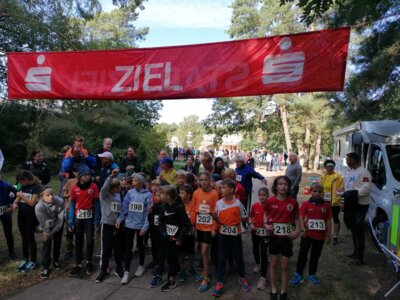 Foto des Albums: Templiner Lübbeseelauf