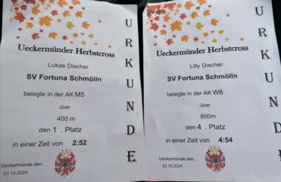 Foto des Albums: Ueckermünder Herbstlauf