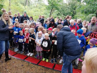 Foto des Albums: Ueckermünder Herbstlauf