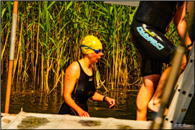 Fotoalbum 13. Seeschwimmen 2024