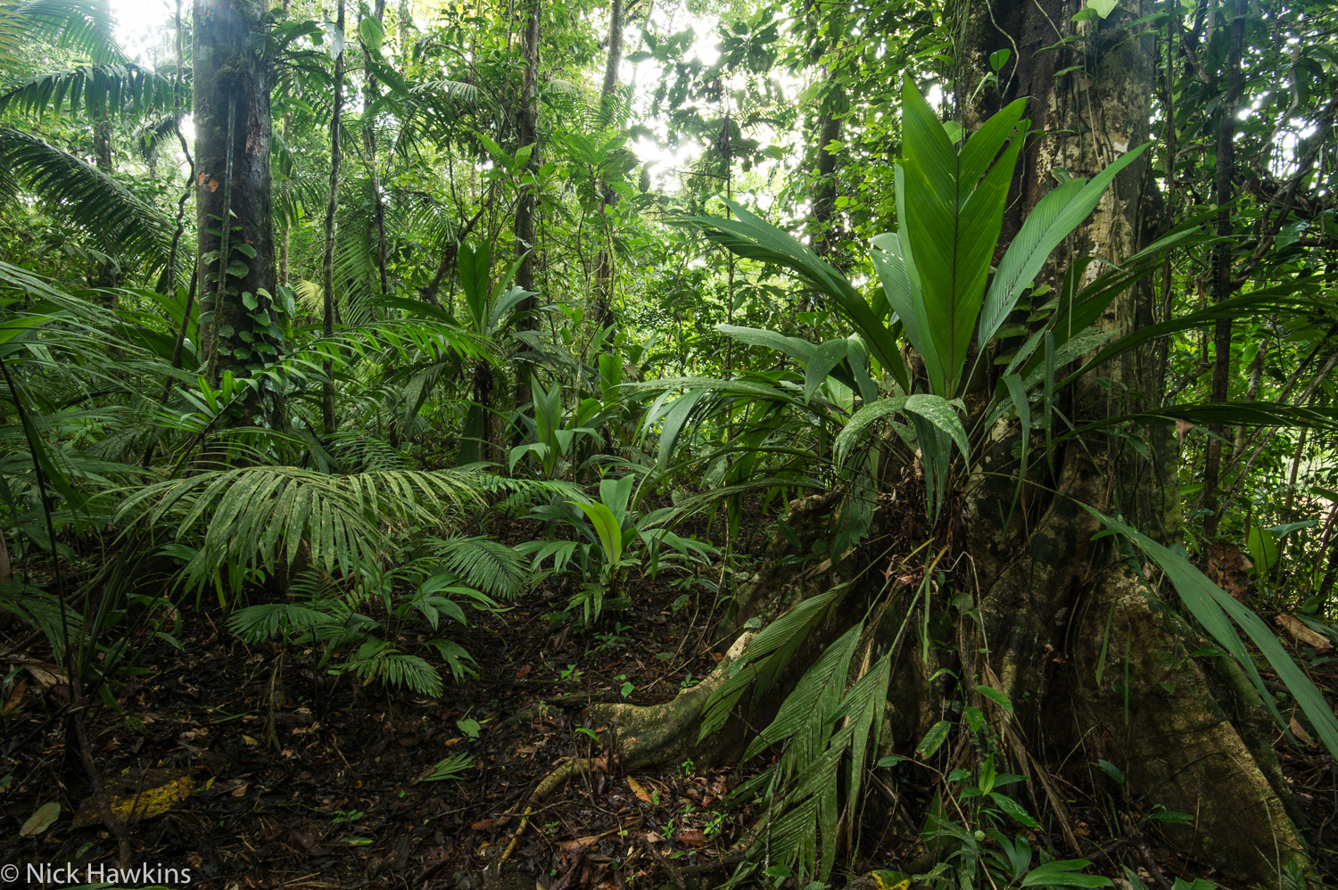 Bild: PATROL 12DB-Indio-Maiz-Nicaragua-8234