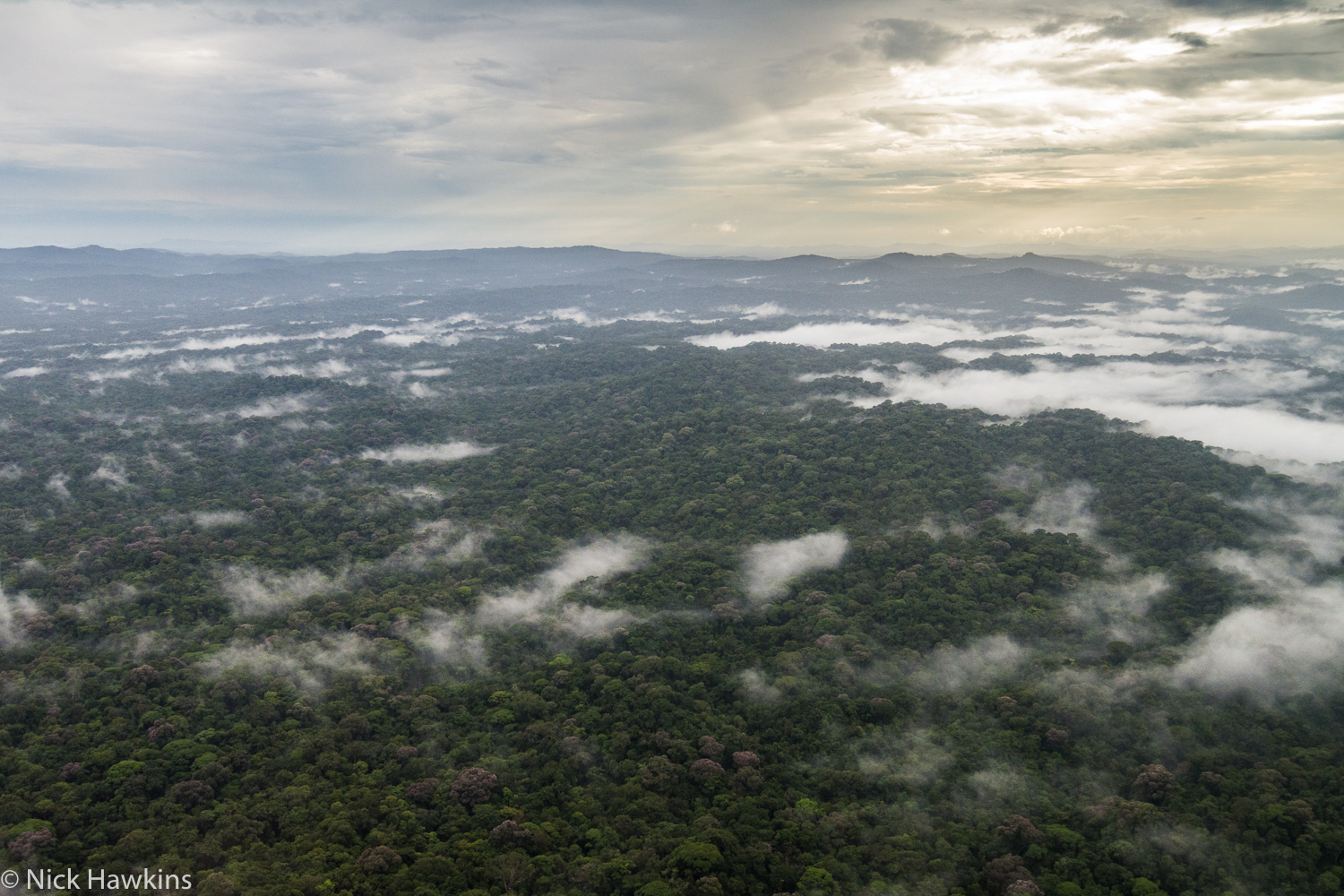 Bild: PATROL 7 DB-Indio-Maiz-Nicaragua-D7100-9292