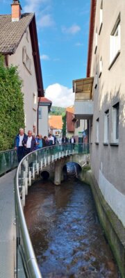 Schriesheim 22.6.  (Bild vergr&ouml;&szlig;ern)