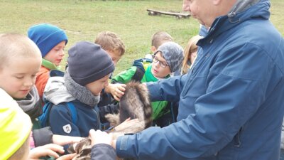 Foto des Albums: Walddetektive unterwegs