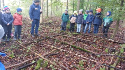 Foto des Albums: Walddetektive unterwegs