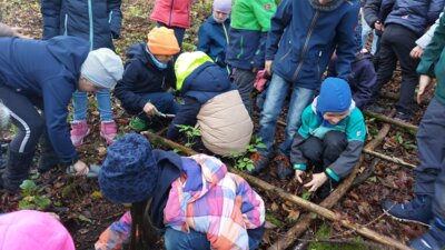 Foto des Albums: Walddetektive unterwegs