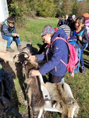 Foto des Albums: Walddetektive unterwegs