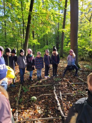 Foto des Albums: Walddetektive unterwegs