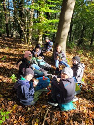 Foto des Albums: Walddetektive unterwegs