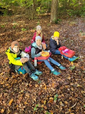 Foto des Albums: Walddetektive unterwegs