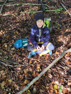 Foto des Albums: Walddetektive unterwegs