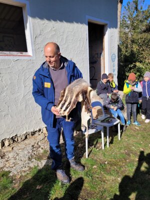Foto des Albums: Walddetektive unterwegs