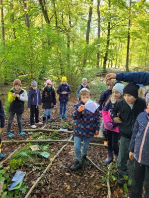Foto des Albums: Walddetektive unterwegs