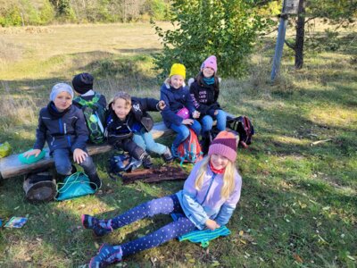 Foto des Albums: Walddetektive unterwegs