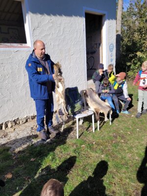 Foto des Albums: Walddetektive unterwegs
