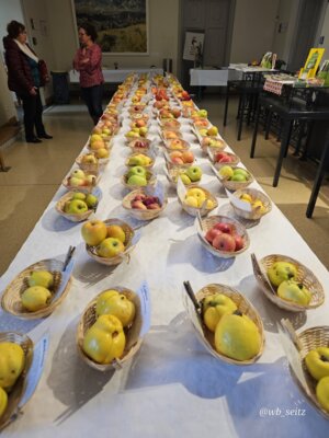 Foto des Albums: 17. Obstausstellung