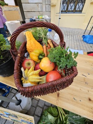 Foto des Albums: 17. Obstausstellung