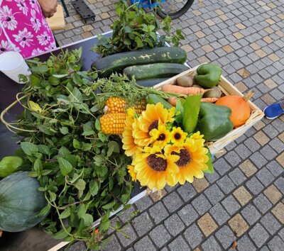 Foto des Albums: 17. Obstausstellung