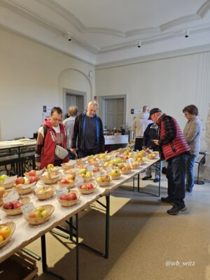 Foto des Albums: 17. Obstausstellung
