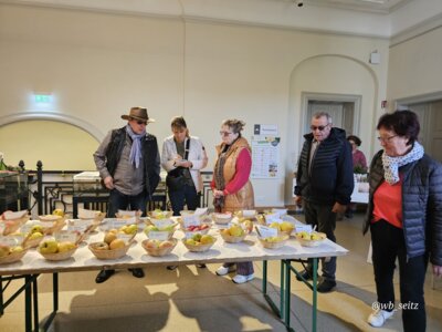Foto des Albums: 17. Obstausstellung
