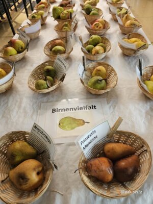Foto des Albums: 17. Obstausstellung