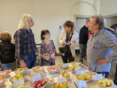 Foto des Albums: 17. Obstausstellung