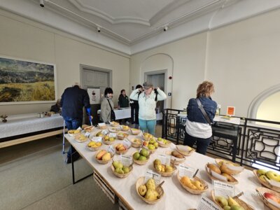 Foto des Albums: 17. Obstausstellung