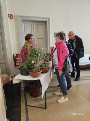 Foto des Albums: 17. Obstausstellung