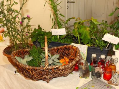 Foto des Albums: 17. Obstausstellung