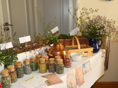 Foto des Albums: 17. Obstausstellung
