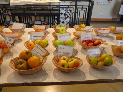 Foto des Albums: 17. Obstausstellung