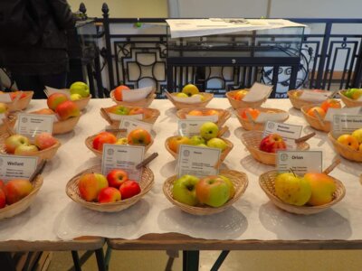 Foto des Albums: 17. Obstausstellung