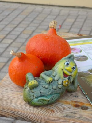 Foto des Albums: 17. Obstausstellung
